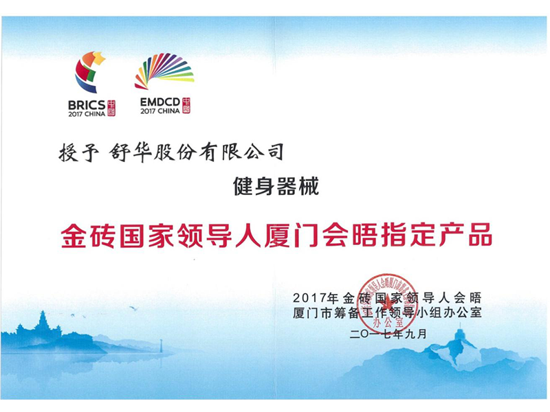 金砖国家领导人会晤制定健身器材.png